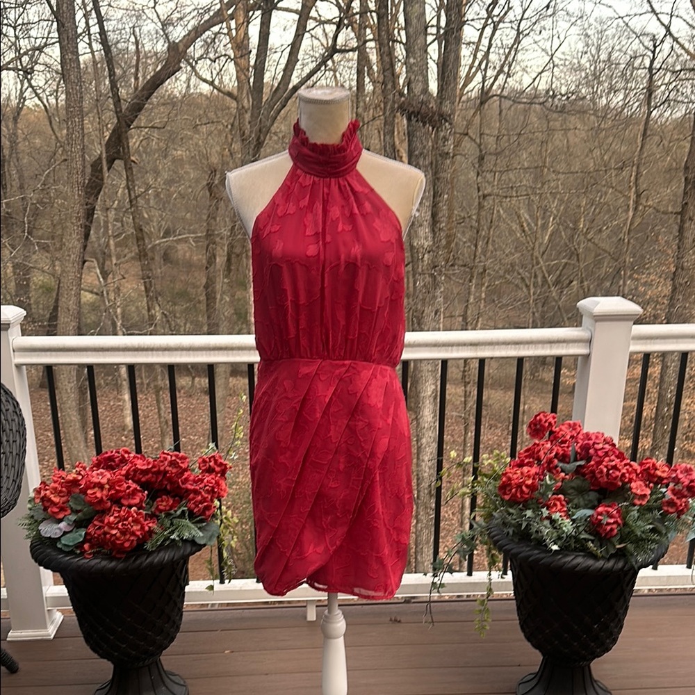 NWT: Red Sleeveless Halter Mini Dress
